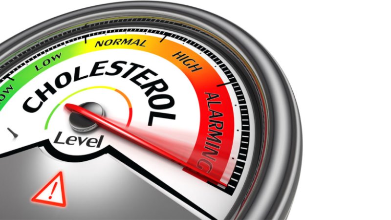The Malign Results of High Cholesterol Levels